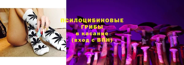 apvp Дмитровск