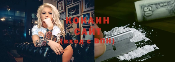 мяу мяу мука Дмитриев