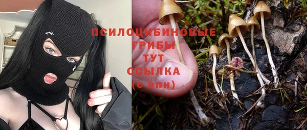 мяу мяу мука Дмитриев