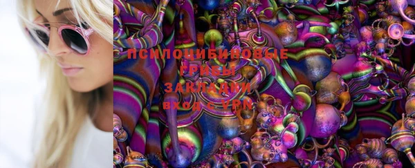 соль ск Елизово