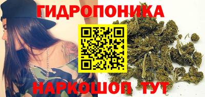 прущие крисы Партизанск