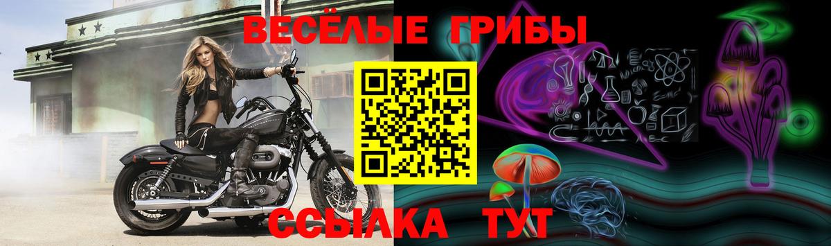 Псилоцибиновые грибы ЛСД Северодвинск