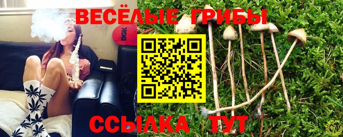 Северодвинск  Галлюциногенные грибы GOLDEN TEACHER  Псилоцибиновые грибы мицелий  Вход с VPN 