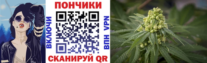 магазин продажи   Северодвинск  Бошки марихуана OG Kush 